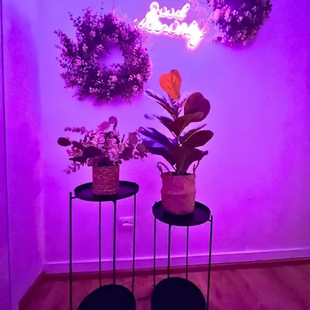 Le Coco Boheme Proche Paris Disneyland Apartmán